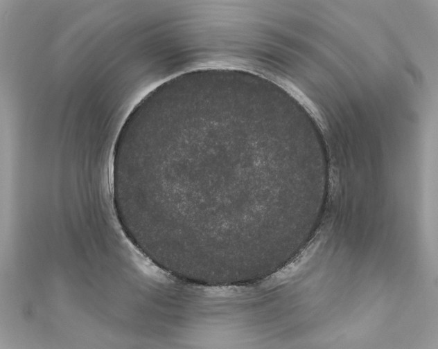 X0000111020988200907171851