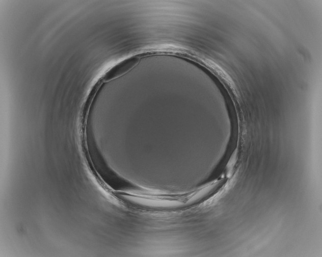 X0000111020989200907171851