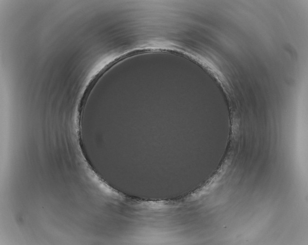 X0000111020990200907171851