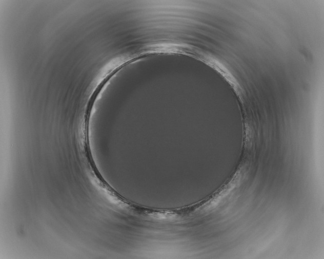 X0000111020994200907171851