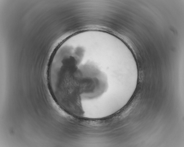 X0000111020995200907171851
