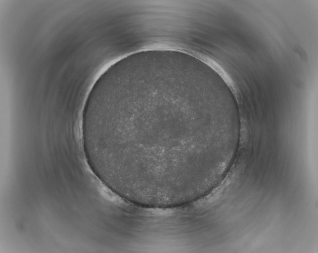 X0000111020996200907171851