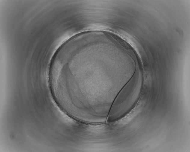 X0000111020997200907171851