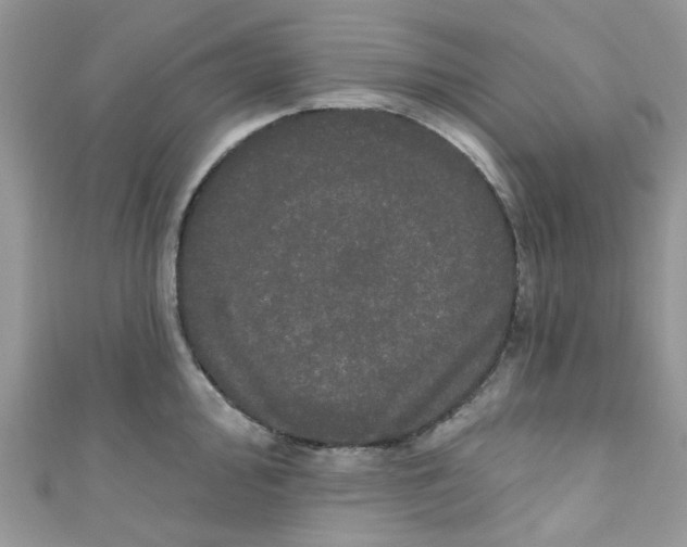 X0000111021000200907171851