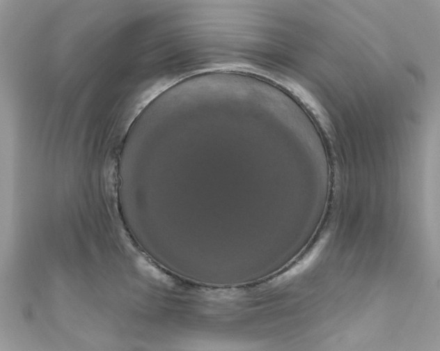 X0000111021001200907171851