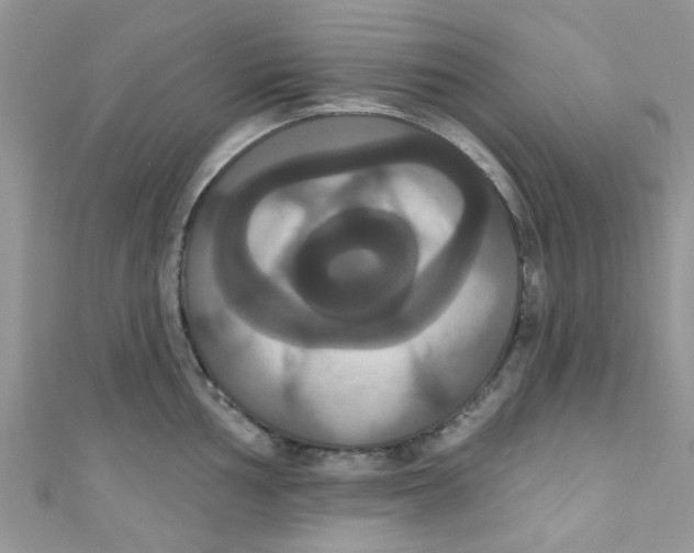 X0000111021002200907171851