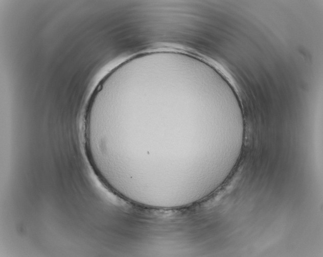 X0000111021003200907171851