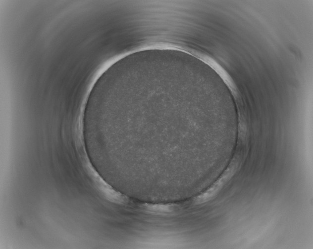 X0000111021004200907171851