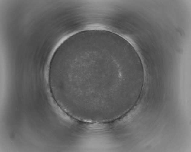 X0000111021008200907171851