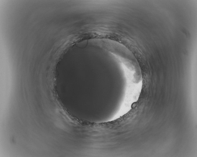 X0000111021009200907171850