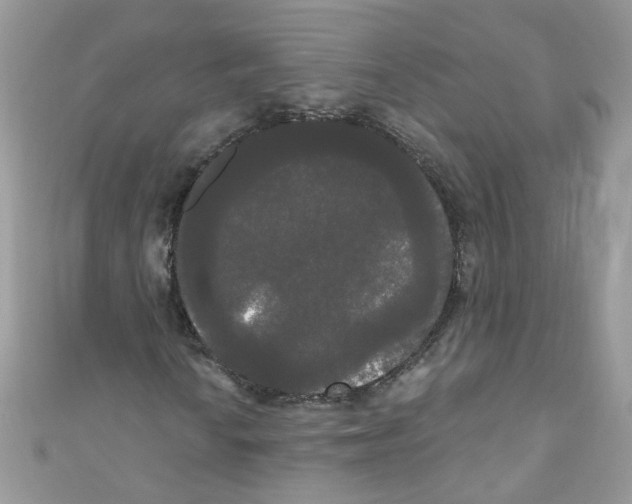 X0000111021010200907171850
