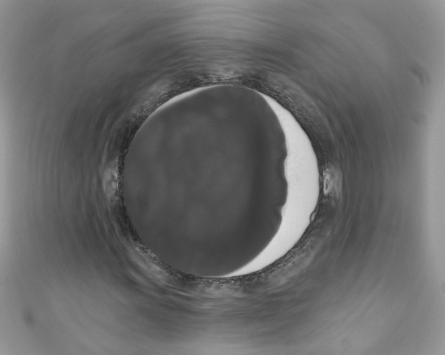 X0000111021011200907171850