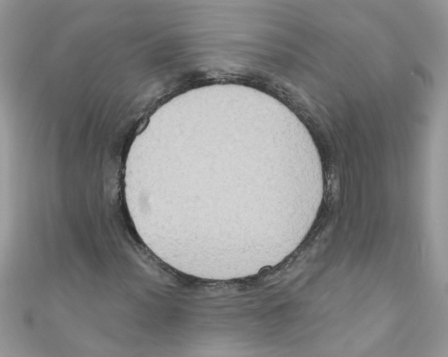 X0000111021012200907171850