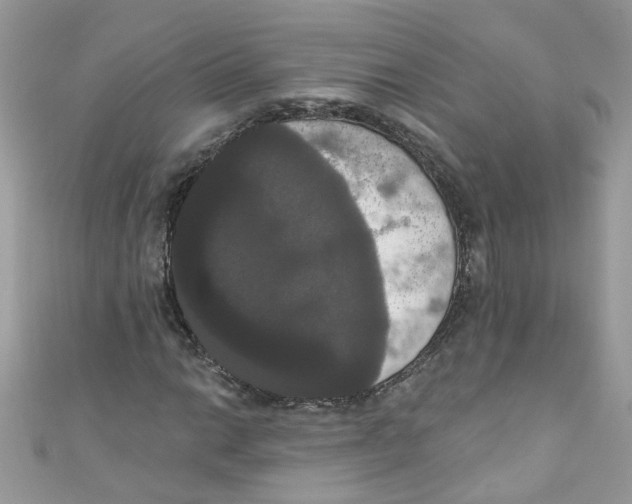 X0000111021014200907171851
