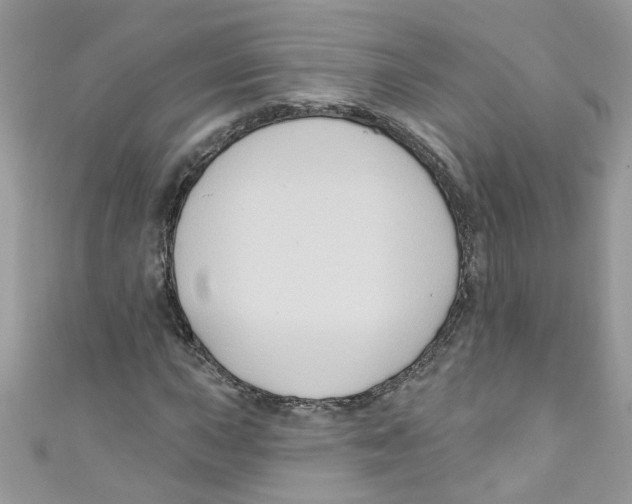 X0000111021015200907171851