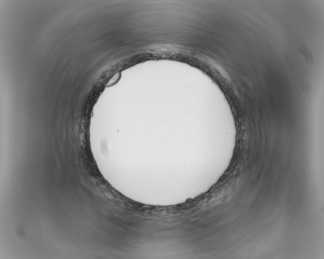 X0000111021016200907171851