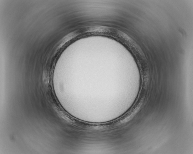X0000111021017200907171851