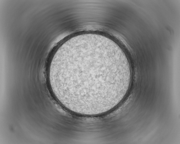 X0000111021018200907171851