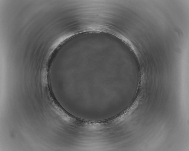 X0000111021019200907171851