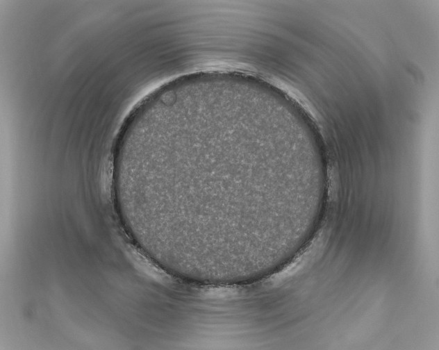 X0000111021021200907171851
