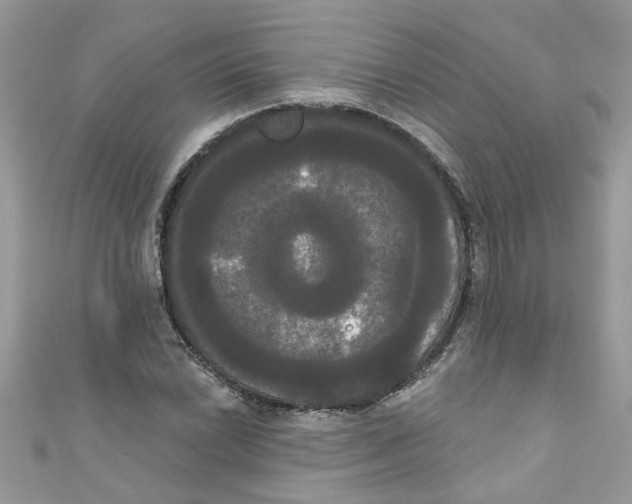 X0000111021022200907171851