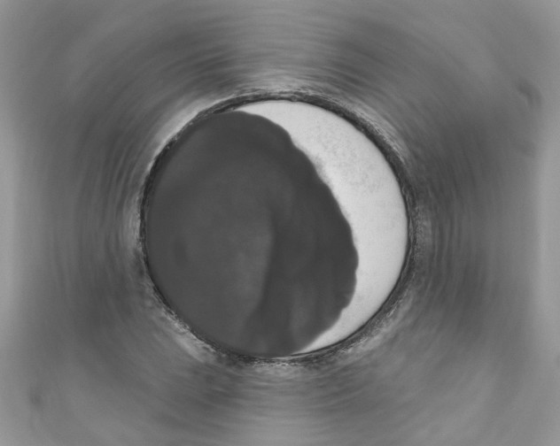 X0000111021023200907171851