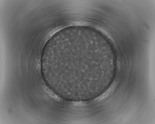 X0000111021025200907171851