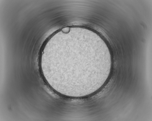 X0000111021026200907171851