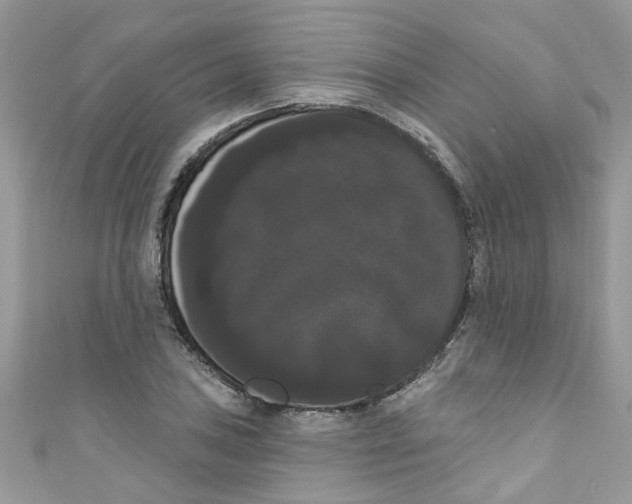 X0000111021027200907171851