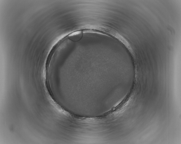 X0000111021028200907171851