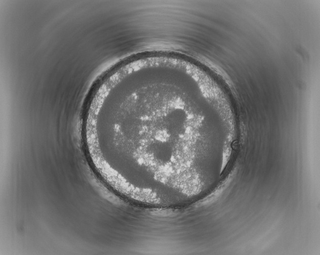 X0000111021029200907171851