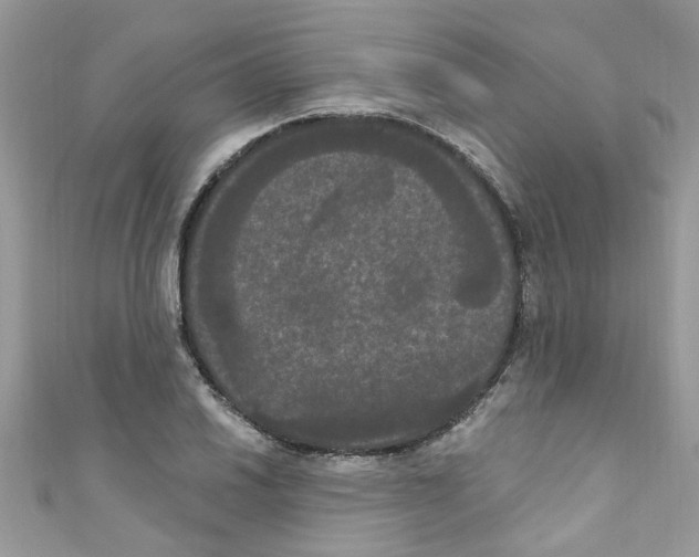 X0000111021030200907171851