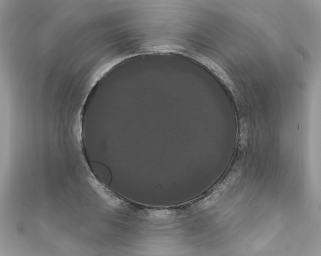 X0000111021031200907171851