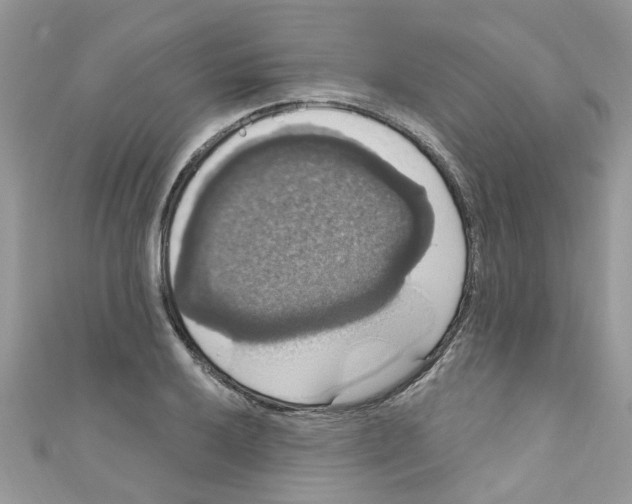 X0000111021032200907171851