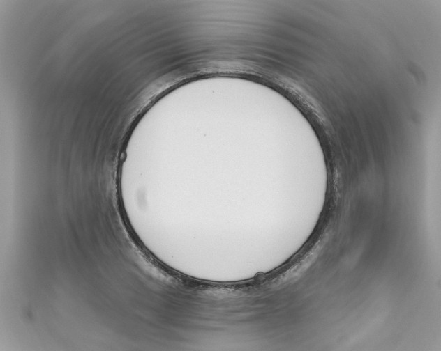 X0000111021033200907171851
