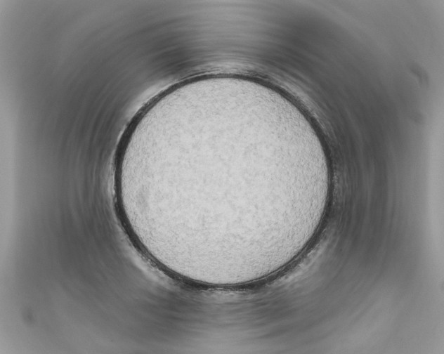 X0000111021034200907171851