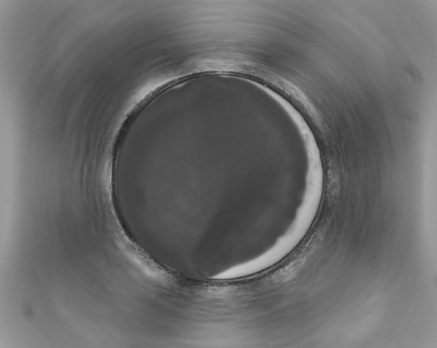 X0000111021035200907171851