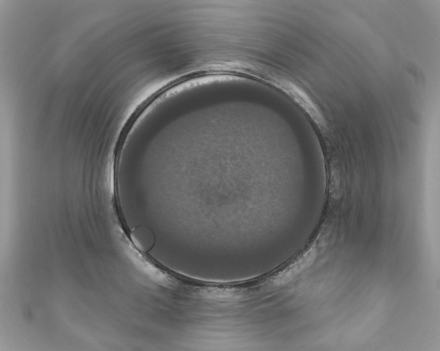 X0000111021036200907171851
