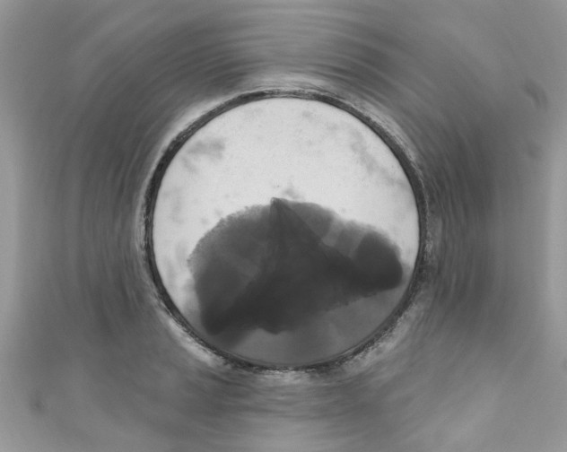 X0000111021037200907171851