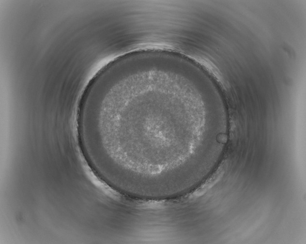 X0000111021038200907171851