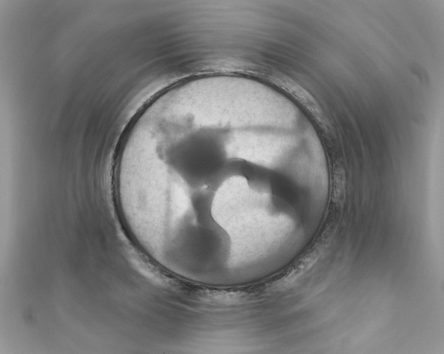 X0000111021039200907171851