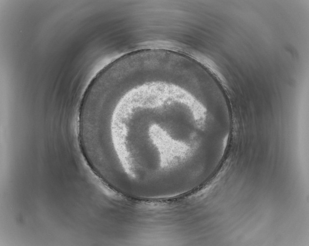X0000111021040200907171851