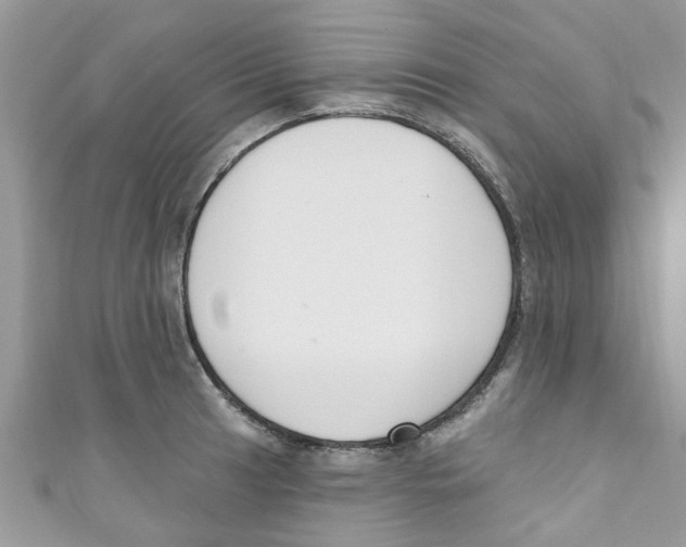 X0000111021041200907171851