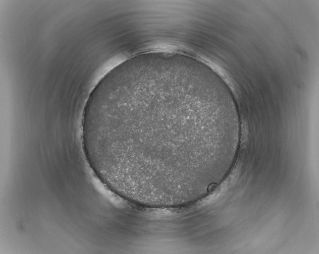 X0000111021042200907171851