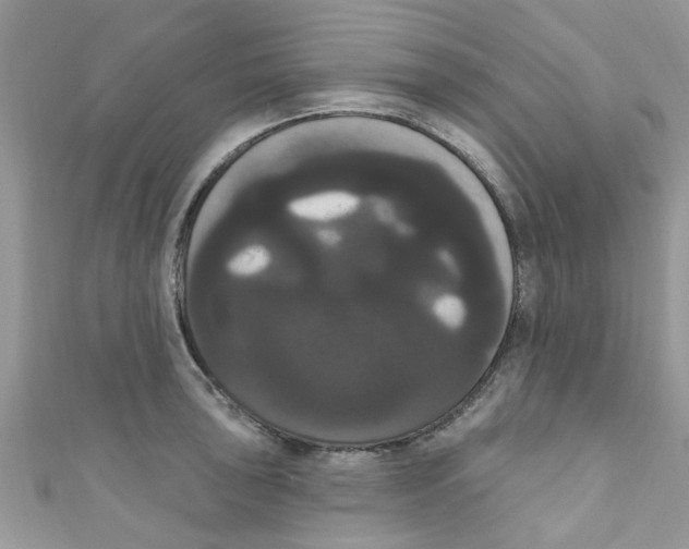 X0000111021043200907171851