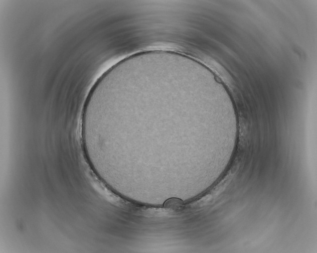 X0000111021044200907171851