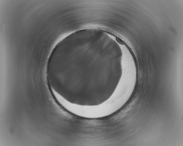 X0000111021045200907171851