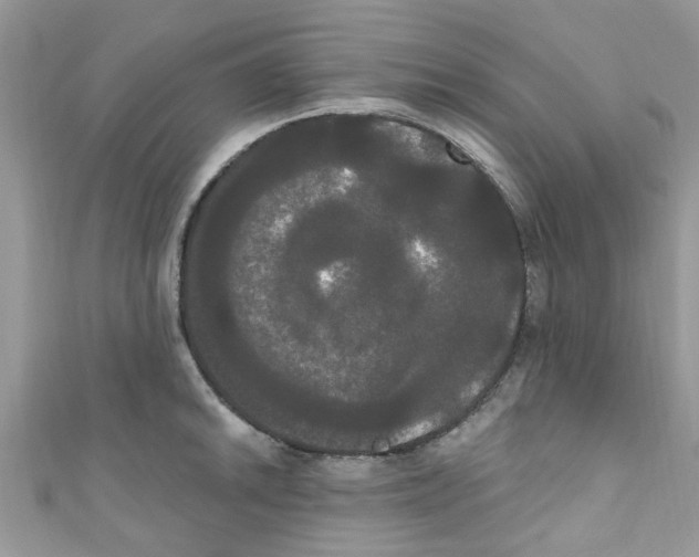 X0000111021046200907171851