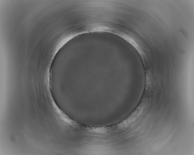 X0000111021047200907171851