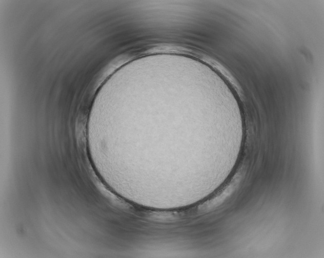 X0000111021049200907171851